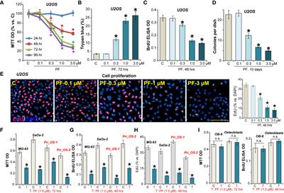 PF-06409577 Activates AMPK Signaling and Inhibits Osteosarcoma Cell Growth